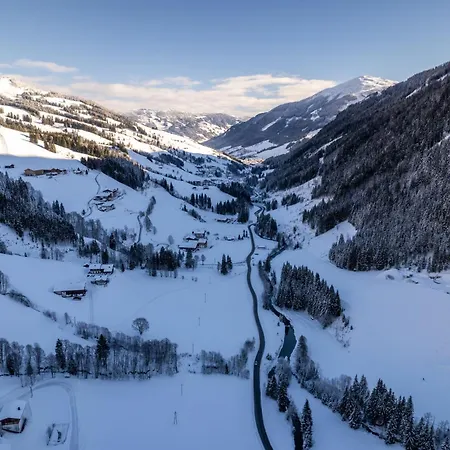 Lavender Hill - Summer &