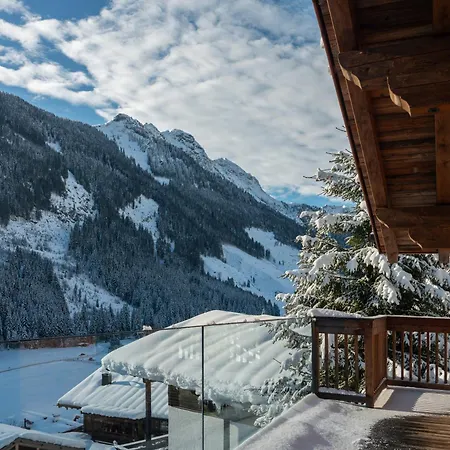 Lavender Hill - Summer &